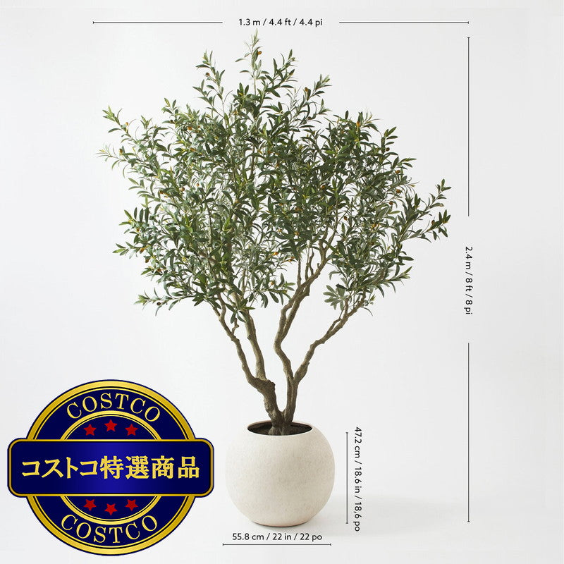 (コストコ) CG HUNTER Faux Olive Tree 244cm