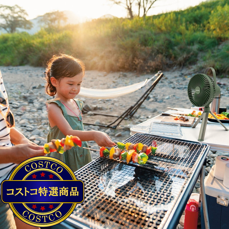 (コストコ) カメリオン ライト付キャンプ ファン 3段階調節