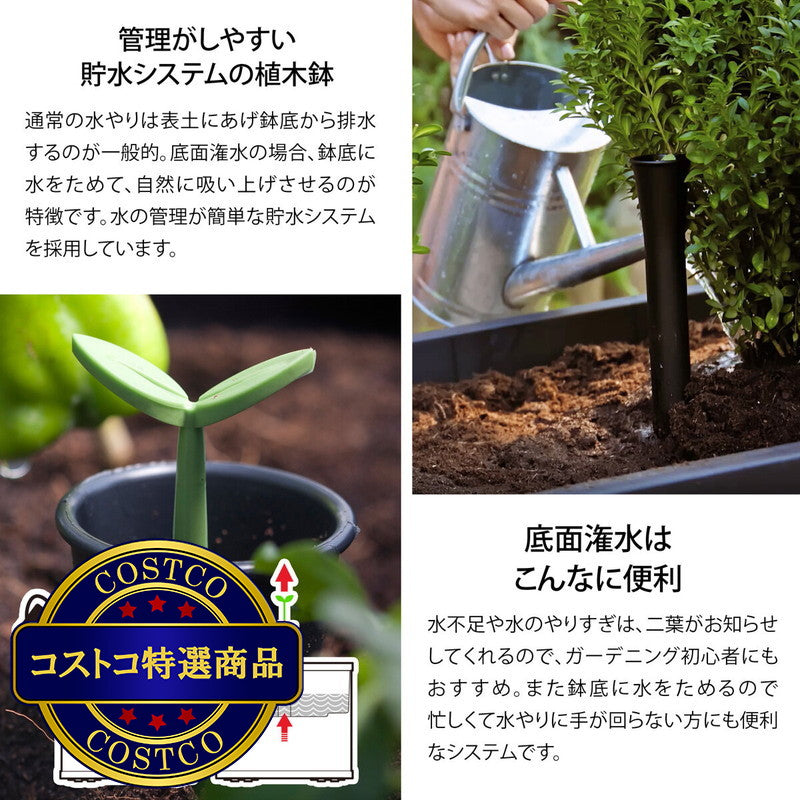 (コストコ) ケター セコア プランター Mサイズ