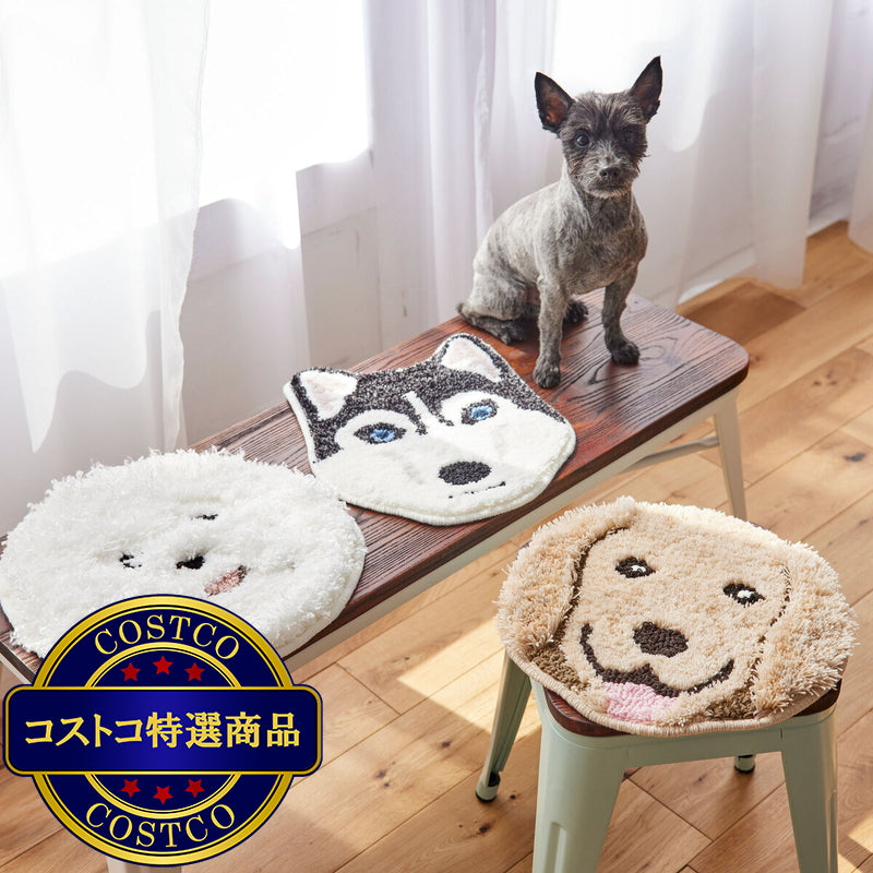 (コストコ) スミノエ チェアパッド イヌカオ