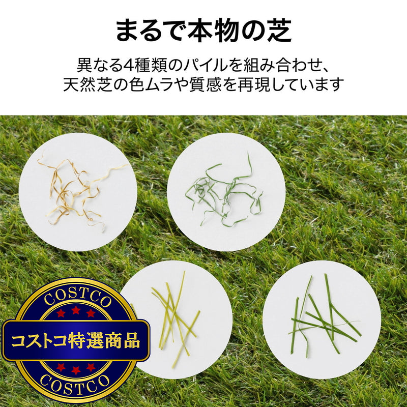 (コストコ) タカショー 人工芝 防草・透水タイプ 1 x 2m