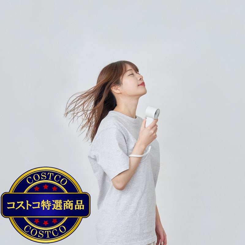 (コストコ) ライフオンプロダクツ ターボハンディファン 3個セット
