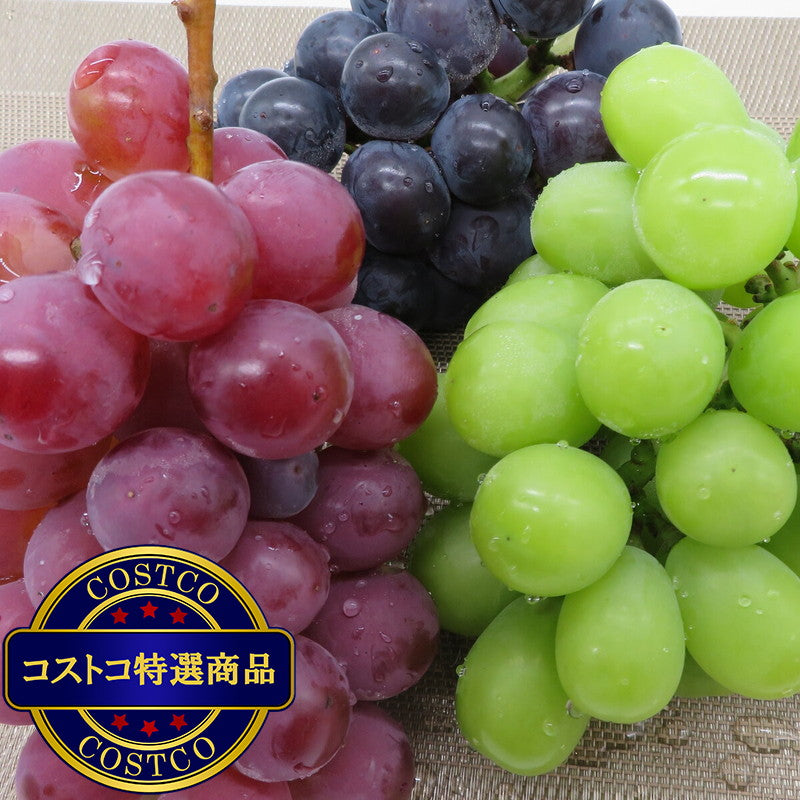 (コストコ) 【9月上旬から順次発送予定】山形県産 ぶどう3種