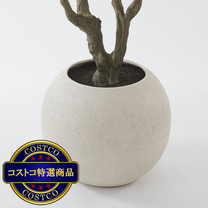 (コストコ) CG HUNTER Faux Olive Tree 244cm