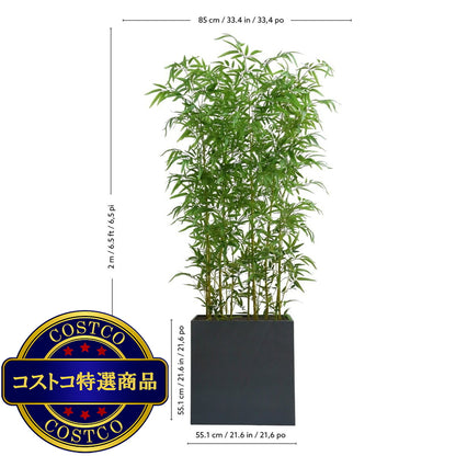 (コストコ) CG HUNTER 人工観葉植物 青竹 ルームディバイダー 約198cm