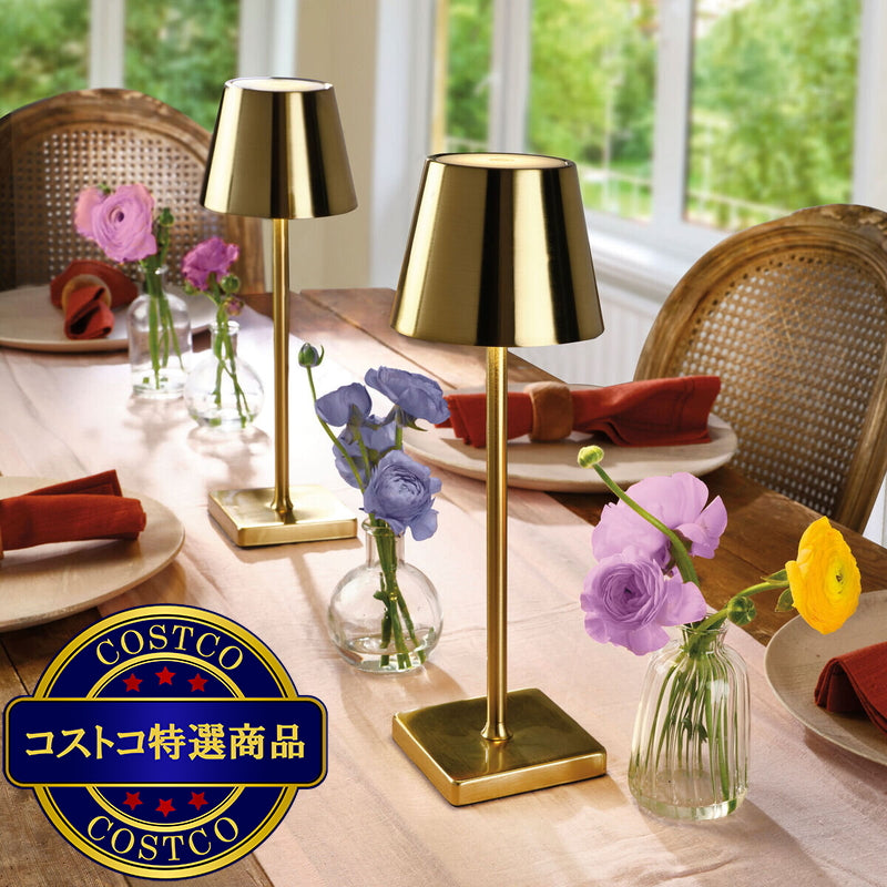 (コストコ) ミカサ LEDランプ 2個