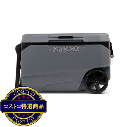 (コストコ) イグルー マックスコールド 85L クーラーボックス