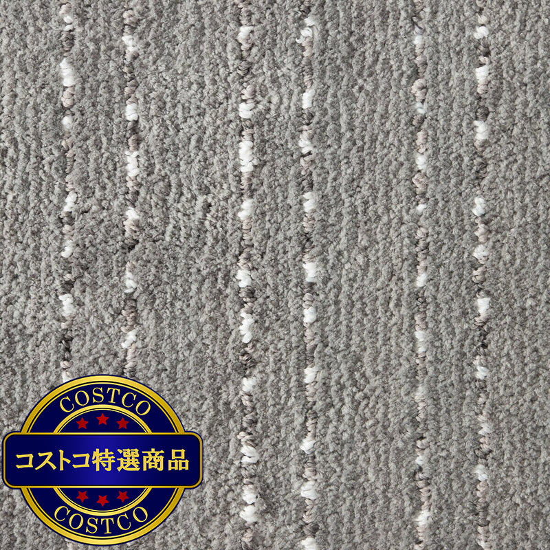 (コストコ) バスラグ 2枚組 45cm x 60cm フリントグレー