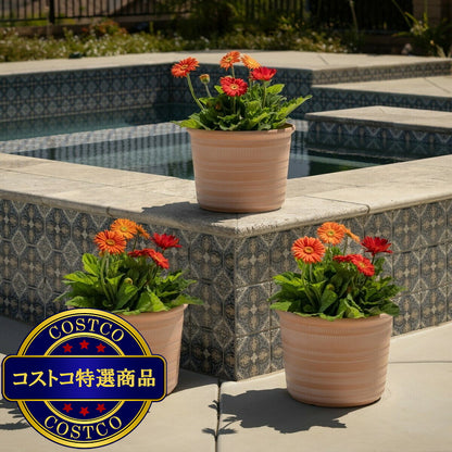 (コストコ) Trendspot Forum 樹脂製プランター 12寸 3個セット テラコッタ