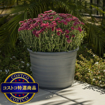 (コストコ) Trendspot Forum 樹脂製プランター 12寸 3個セット エンバー