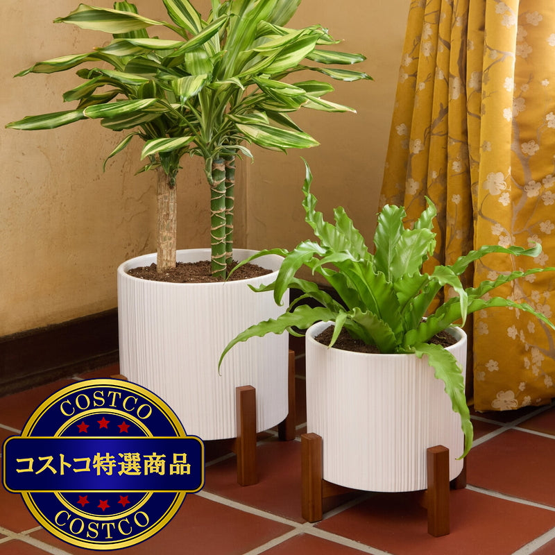 (コストコ) Mullally スタンド付き 陶器プランター 2個セット (26cm ＆ 24.6cm)