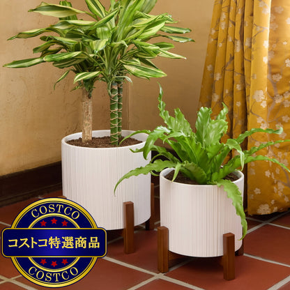 (コストコ) Mullally スタンド付き 陶器プランター 2個セット (26cm ＆ 24.6cm)