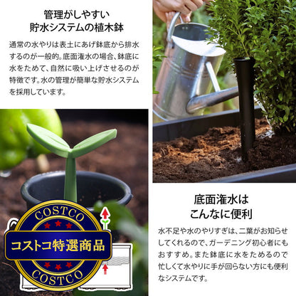 (コストコ) ケター セコア プランター Mサイズ