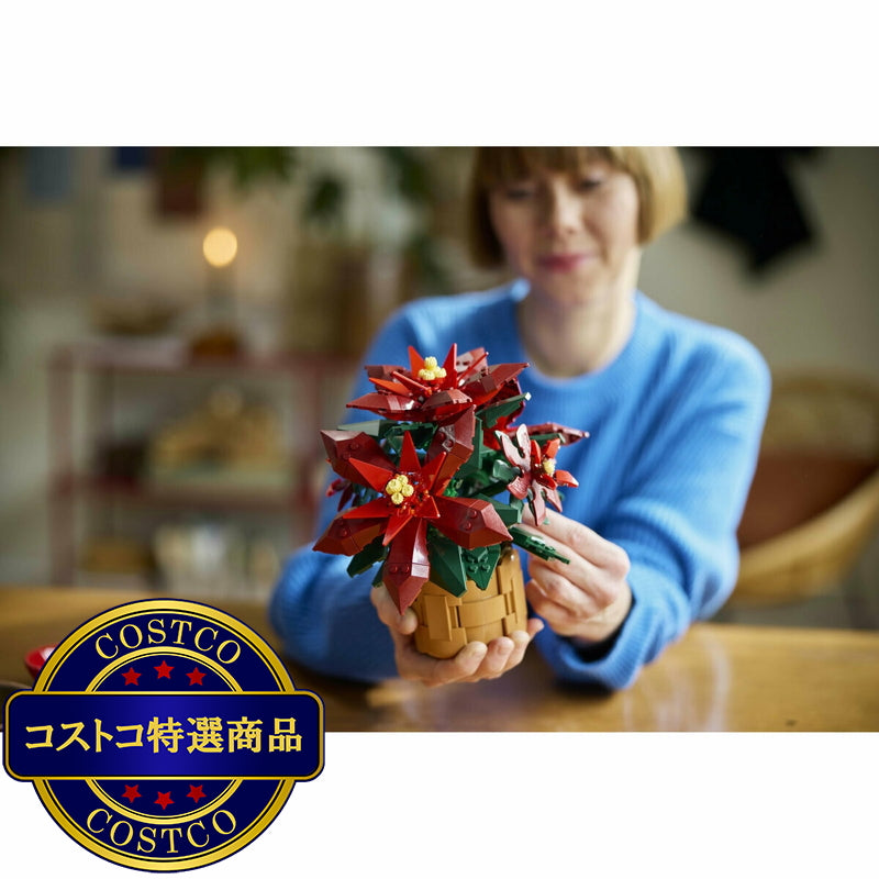 (コストコ) レゴ ポインセチア