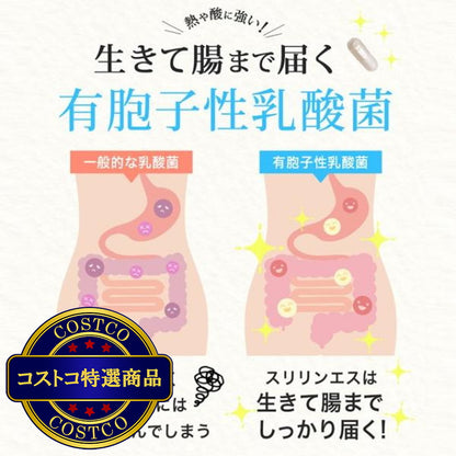 (コストコ) スリリン エス 乳酸菌 30粒 x 3袋 (90日分) ＜機能性表示食品＞