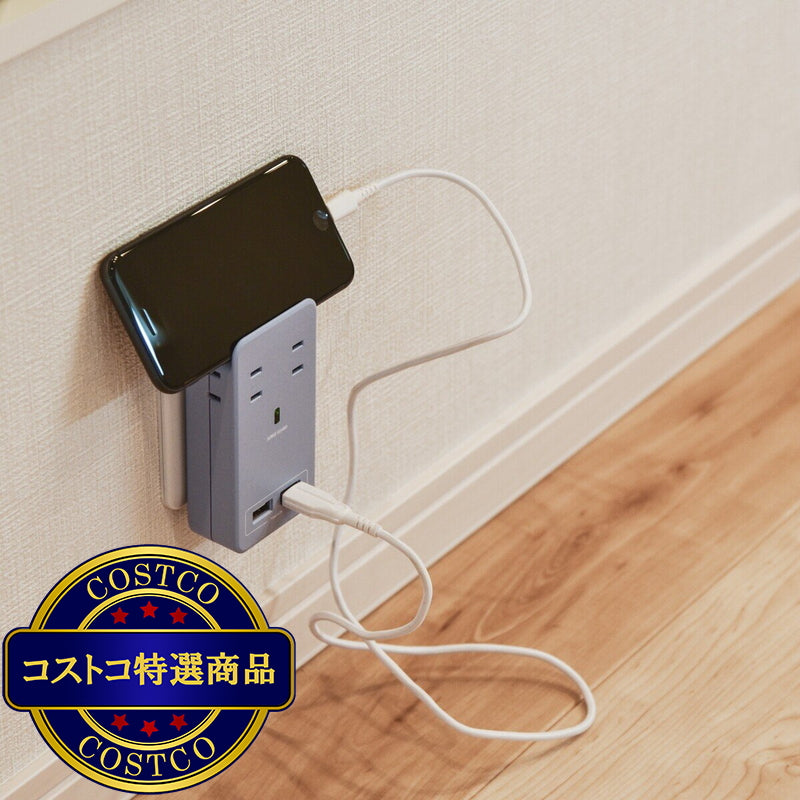 (コストコ) Fargo（ファーゴ）SATI COLOR(サティカラー) AC4個口 4.2A USB 全14色 CT221 パープル