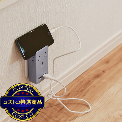 (コストコ) Fargo（ファーゴ）SATI COLOR(サティカラー) AC4個口 4.2A USB 全14色 CT221 パープル