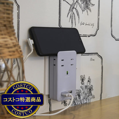 (コストコ) Fargo（ファーゴ）SATI COLOR(サティカラー) AC4個口 4.2A USB 全14色 CT221 スモーキーブルー