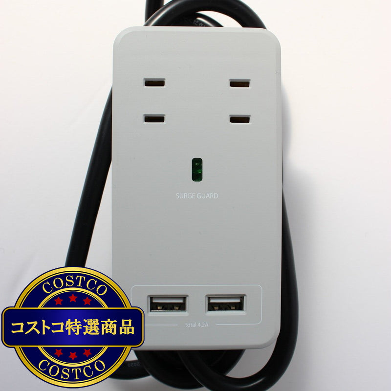 (コストコ) Fargo（ファーゴ）SATI COLOR(サティカラー) AC4個口 4.2A USB 全14色 CT221 ライトグレー