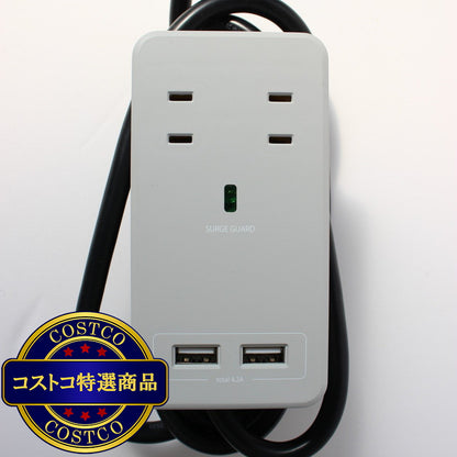 (コストコ) Fargo（ファーゴ）SATI COLOR(サティカラー) AC4個口 4.2A USB 全14色 CT221 ライトグレー