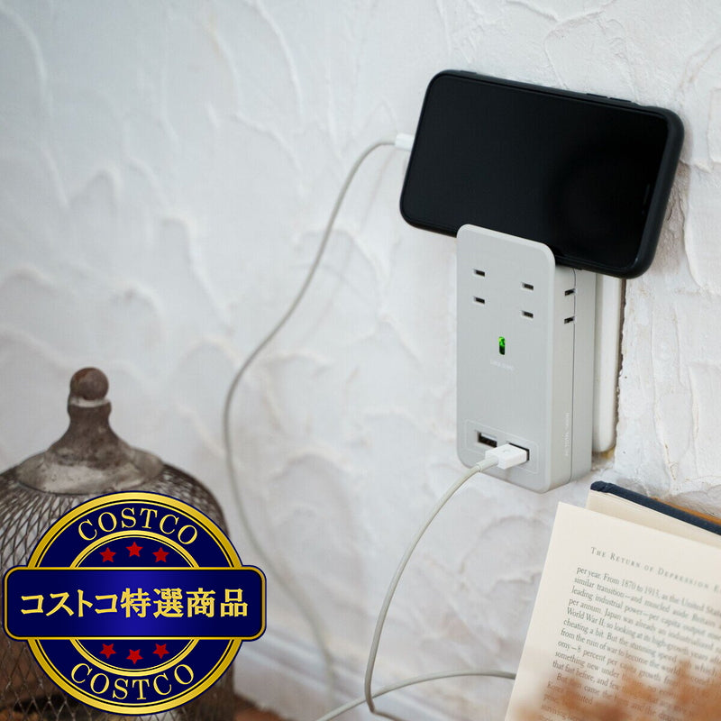 (コストコ) Fargo（ファーゴ）SATI COLOR(サティカラー) AC4個口 4.2A USB 全14色 CT221 ライトグレー