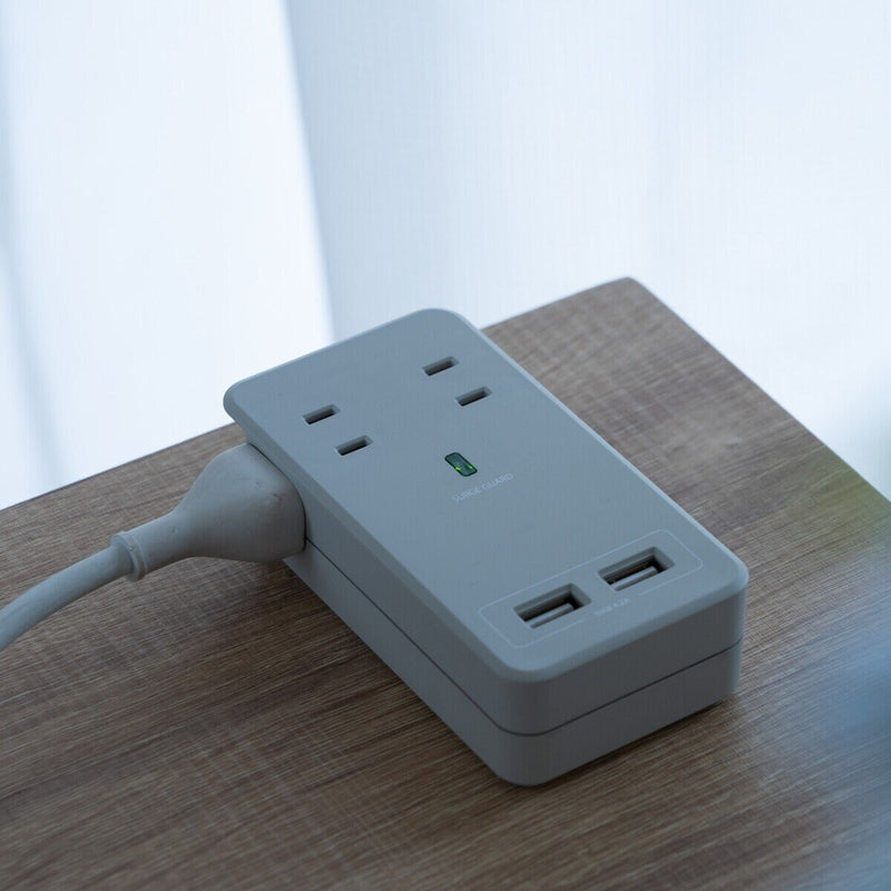 (コストコ) Fargo（ファーゴ）SATI COLOR(サティカラー) AC4個口 4.2A USB 全14色 CT221 ライトグレー