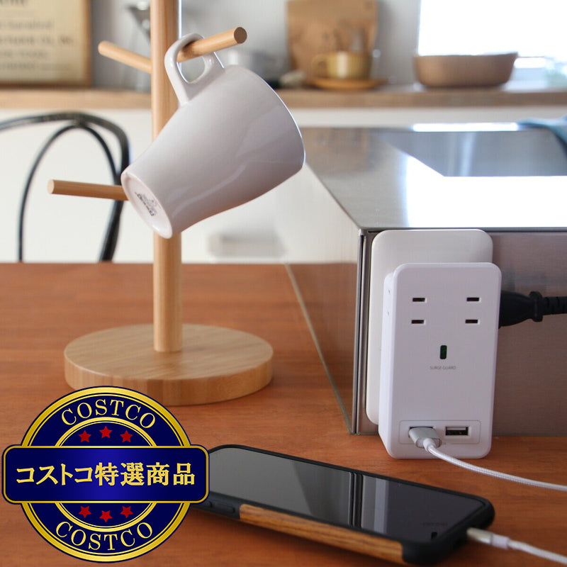 (コストコ) Fargo（ファーゴ）SATI COLOR(サティカラー) AC4個口 4.2A USB CT221