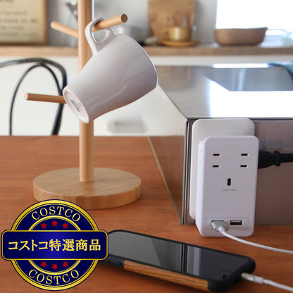 (コストコ) Fargo（ファーゴ）SATI COLOR(サティカラー) AC4個口 4.2A USB CT221