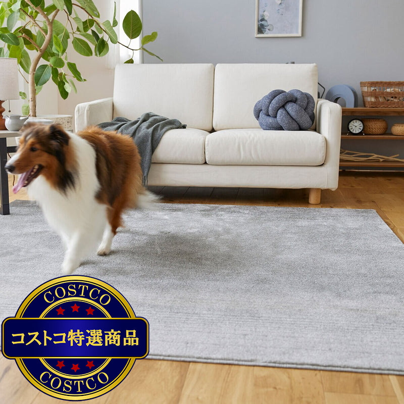 (コストコ) スミノエ ペット消臭ラグ マール2 190 x 190cm ダークグレー