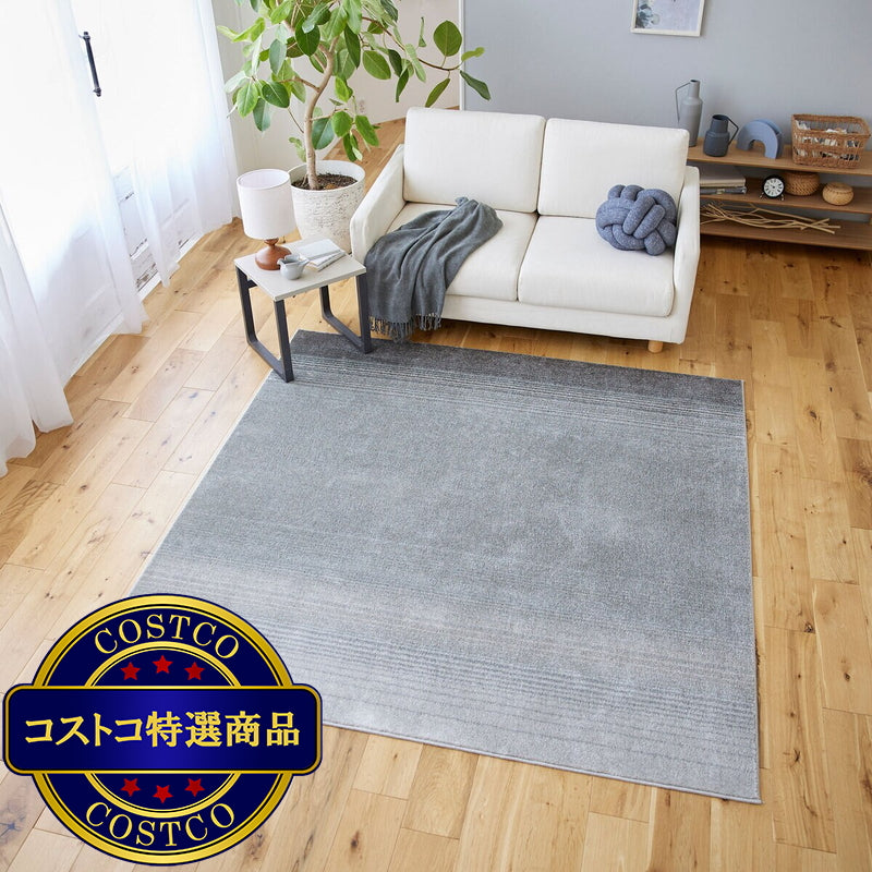 (コストコ) スミノエ ペット消臭ラグ マール2 190 x 190cm ダークグレー