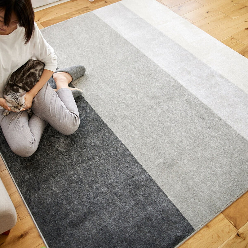 (コストコ) スミノエ ペット消臭ラグ ワグ 190 x 240cm グレー