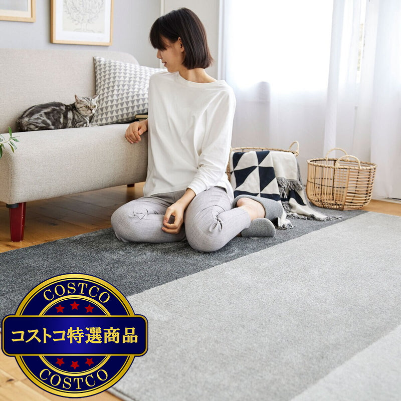 (コストコ) スミノエ ペット消臭ラグ ワグ 190 x 240cm グレー