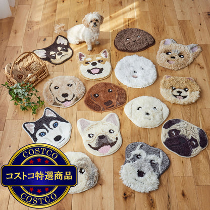 (コストコ) スミノエ チェアパッド イヌカオ シュナウザー