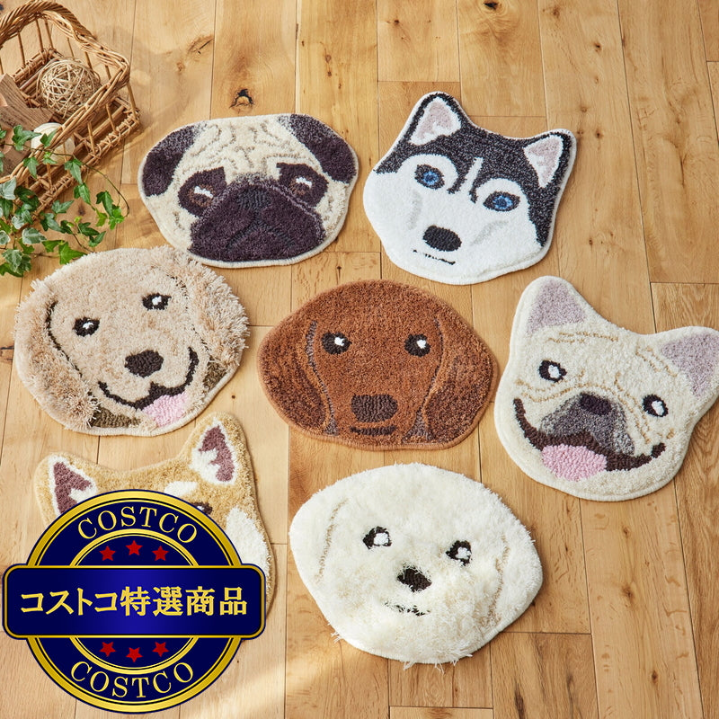 (コストコ) スミノエ チェアパッド イヌカオ マルチーズ