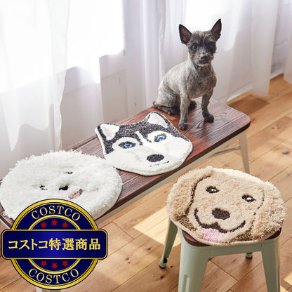 (コストコ) スミノエ チェアパッド イヌカオ