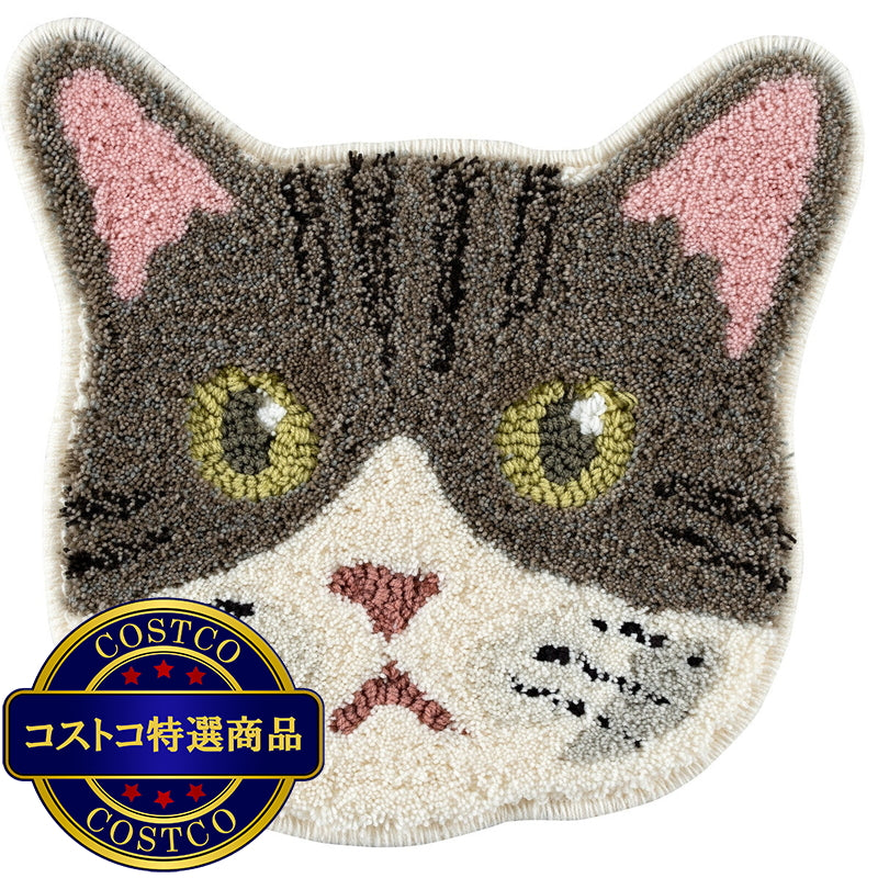 (コストコ) スミノエ チェアパッド ネコカオ キジシロ