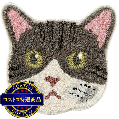 (コストコ) スミノエ チェアパッド ネコカオ キジシロ