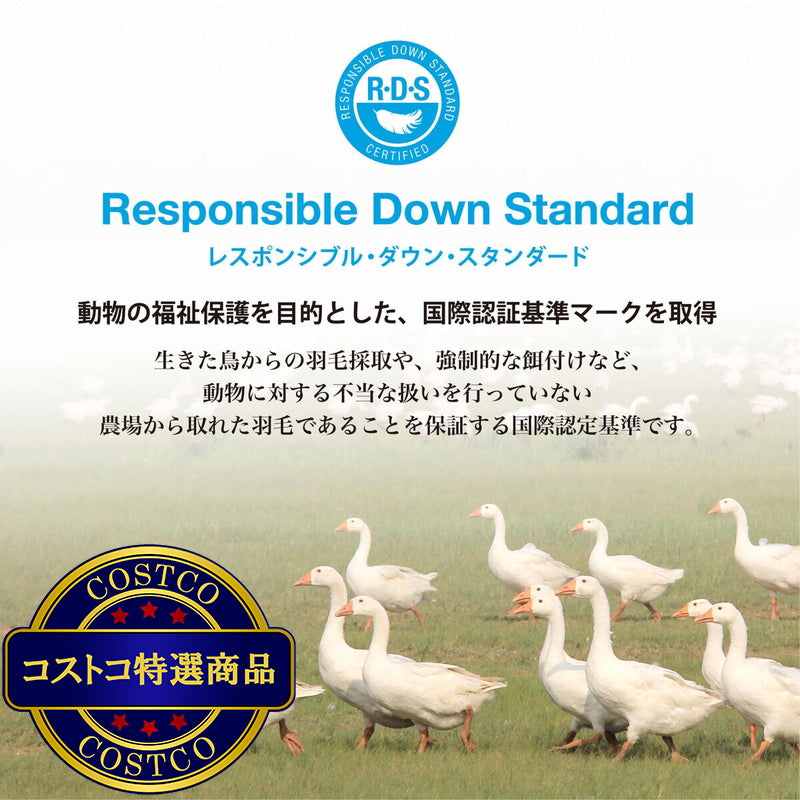 (コストコ) 羽毛合い掛け布団 ナチュラルダックダウン93％ クイーン アイボリー