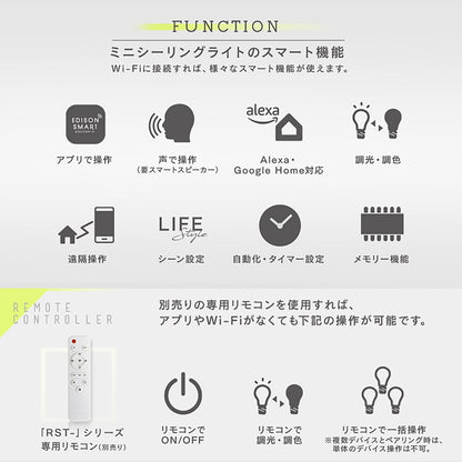 (コストコ) Edison Smart（エジソンスマート）ミニシーリングライト ダクトレール用 アーム付き ブラック RST-TL143LBK