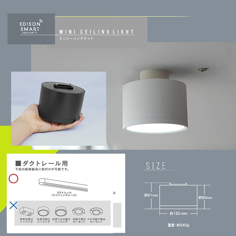 (コストコ) Edison Smart（エジソンスマート）ミニシーリングライト 引っ掛けシーリング用 ホワイト RST-TZ367LWH