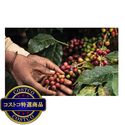 (コストコ) MOKADOR 100%ARABICA ネスプレッソ互換カプセル 100カプセル入