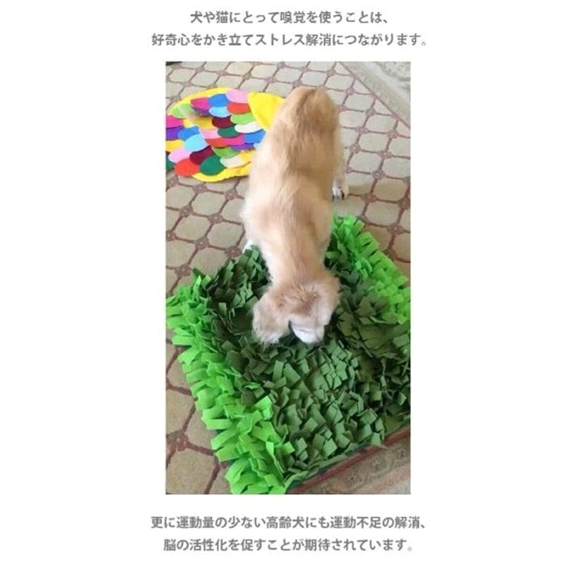 (コストコ) Petique ぺティーク スナッフリング ノーズワークマット 芝生Ver.