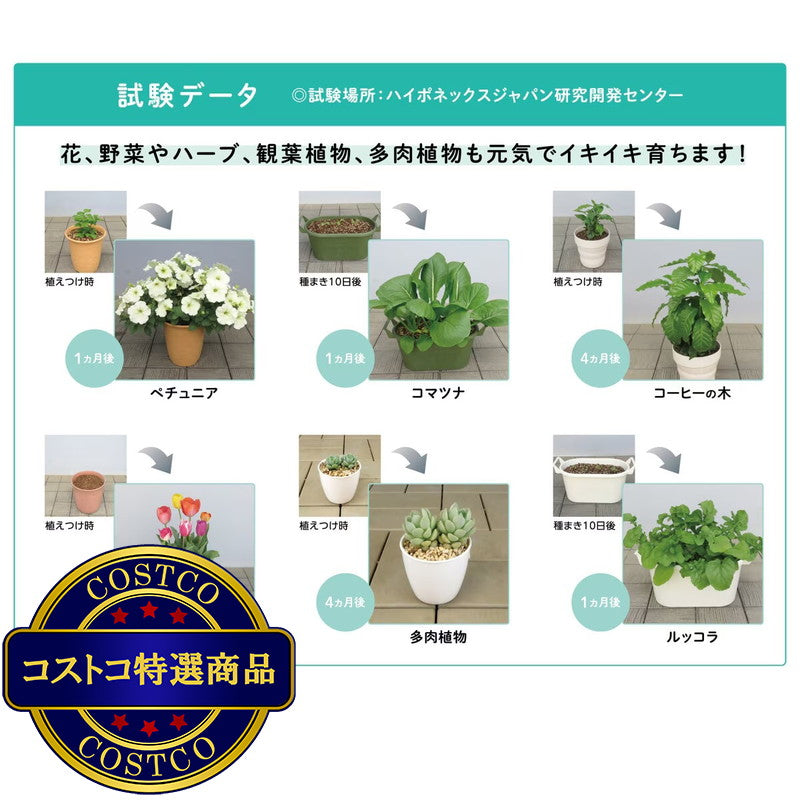 (コストコ) ハイポネックス マグァンプeco 中粒 元肥肥料 3kg