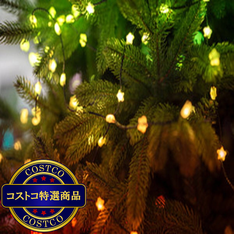(コストコ) Twinkly(トゥインクリー) キャンディーズ 200LED スマートデコレーションライト 星形