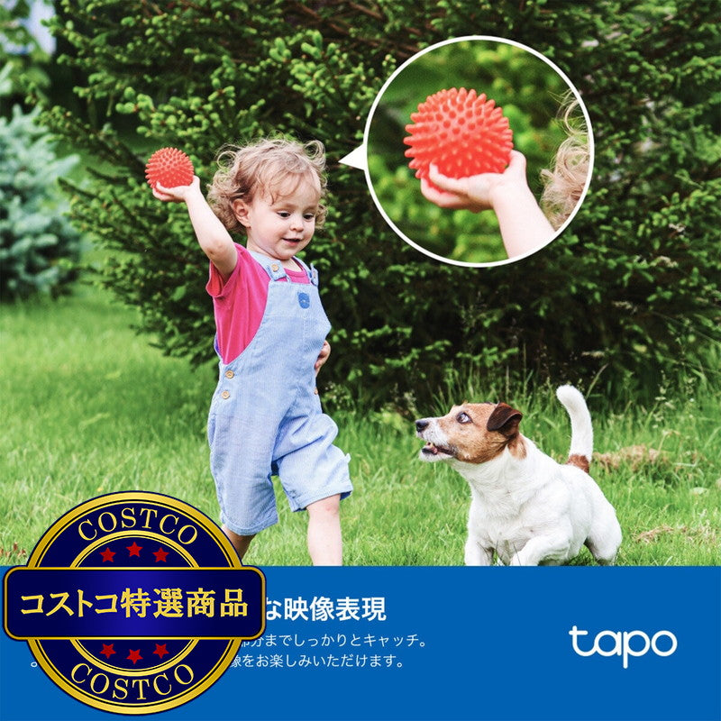 (コストコ) TP-Link (ティーピーリンク) tapo フルワイヤレスセキュリティカメラ ソーラーパネル付き TC85KIT