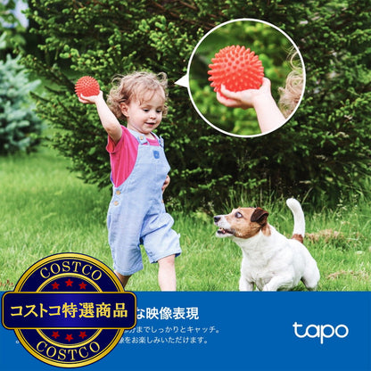(コストコ) TP-Link (ティーピーリンク) tapo フルワイヤレスセキュリティカメラ ソーラーパネル付き TC85KIT