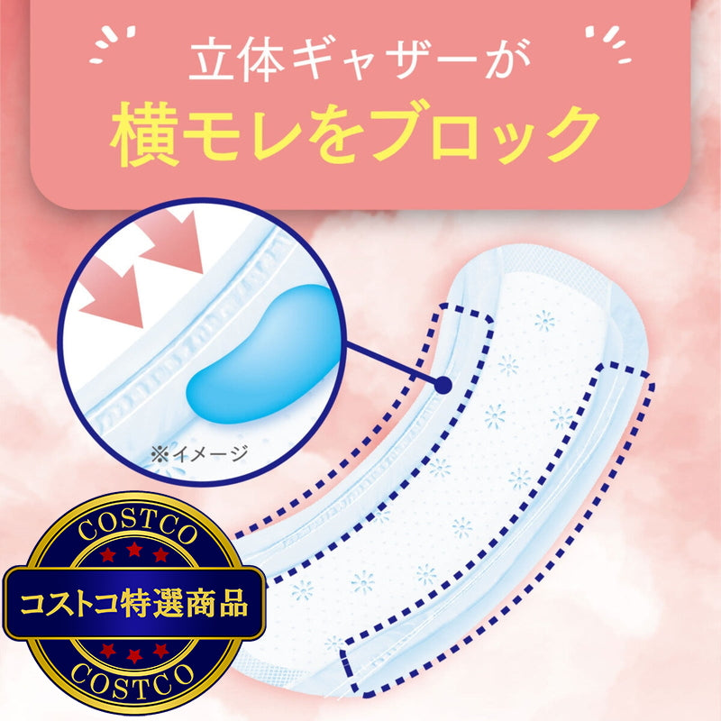(コストコ) ポイズさらさら吸水ナプキン 100cc 24枚  6セット