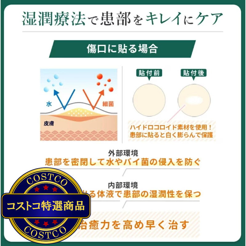(コストコ) THE スポットエイド 大判シートタイプ 背中 ・おしり用 4枚 & スポット用 8枚  2セット