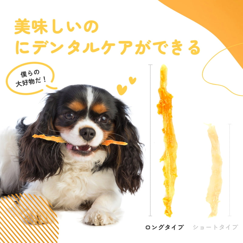 (コストコ) iPaw (アイポー) ターキーアキレス 犬用おやつ ロング 75g x 3袋