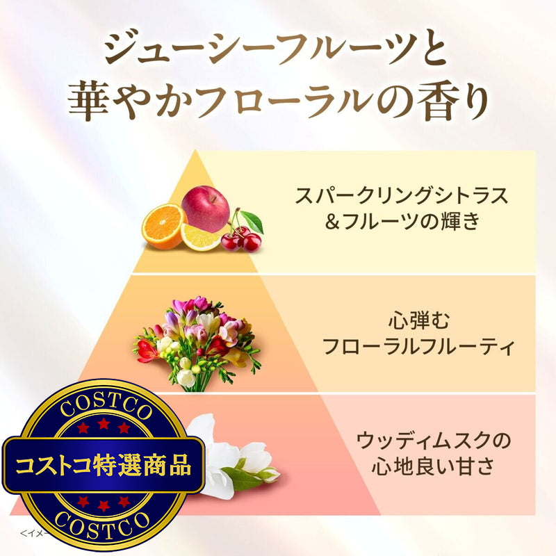 (コストコ) LUX (ラックス) スーパーリッチシャイン ダメージリペア トリートメント 300g x 2